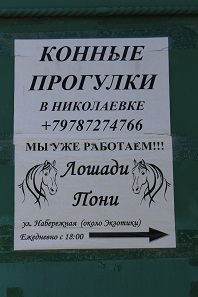 Конные прогулки в Николаевке